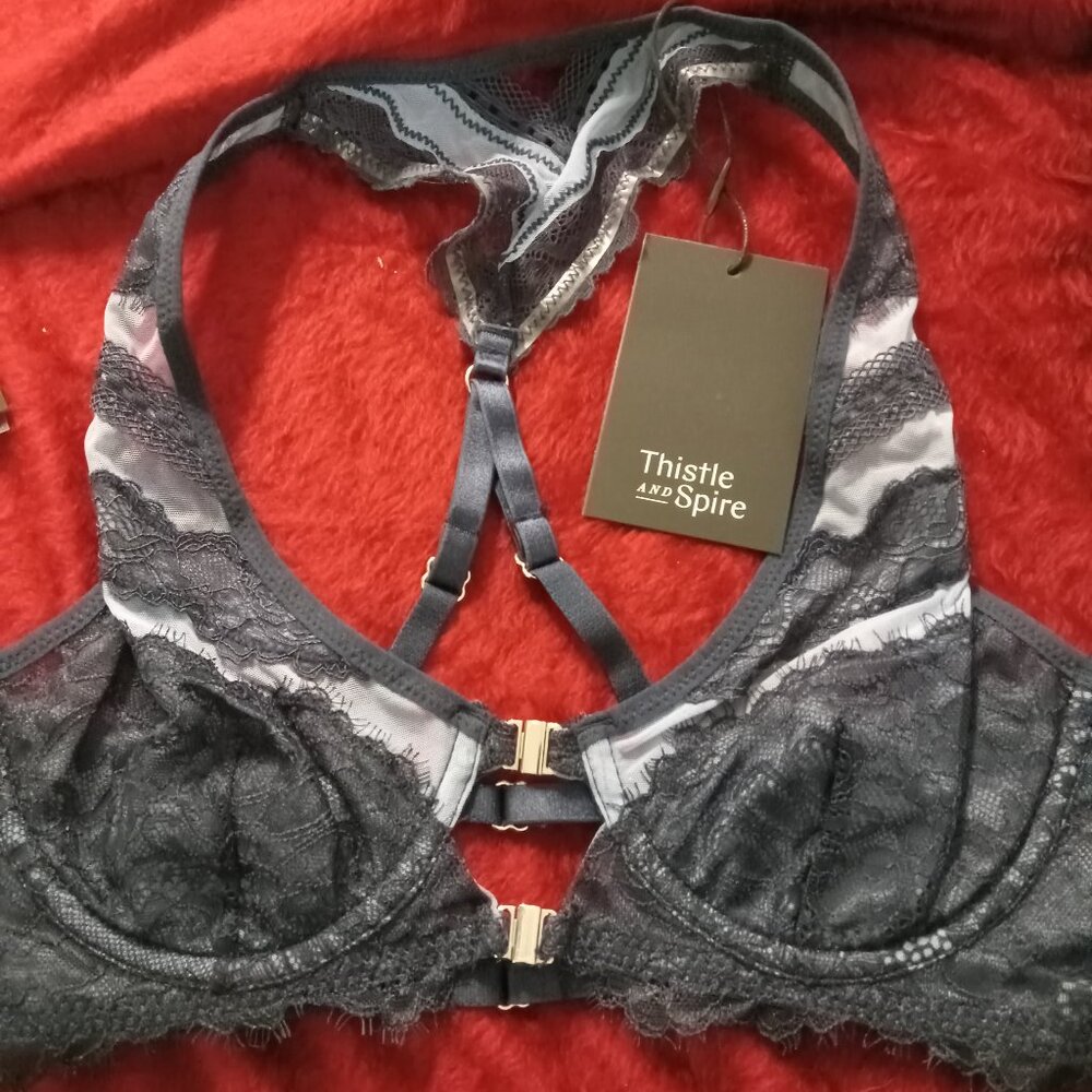 Thistle and Spire Bra denim blue sheer full cup unlined lace NWT multi sizes